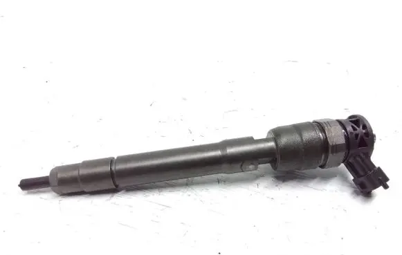 Nissan Qashqai Fuel injector H8201055367 0445110414