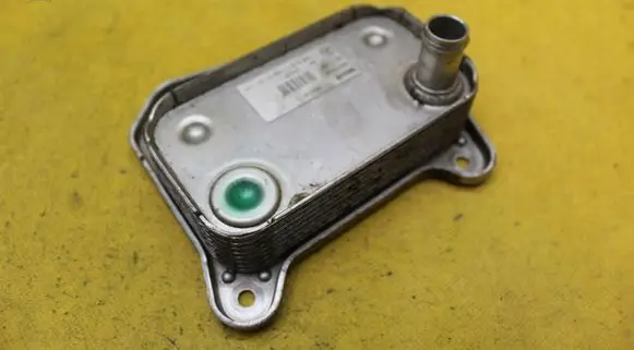 Mercedes-Benz E W210 Engine oil radiator 