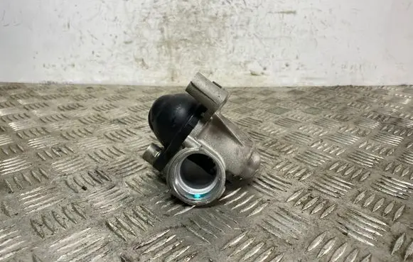 Thermostat/thermostat housing