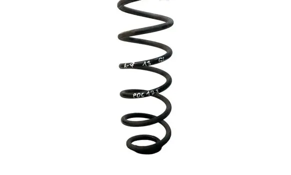 Rear coil spring