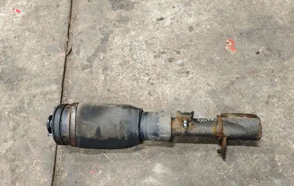 Land Rover Range Rover L322 Air suspension front shock absorber F2310245
