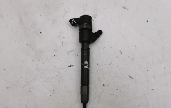 Volvo V70 Fuel injector 0445110298 307775263702