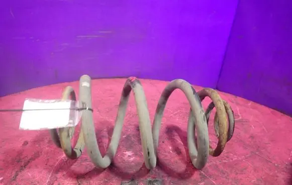 Rear coil spring
