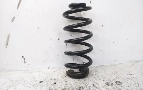 Volkswagen ID.3 Rear coil spring 1EA511103C