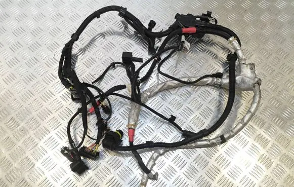 BMW 3 F30 F35 F31 Other wiring loom 8636072
