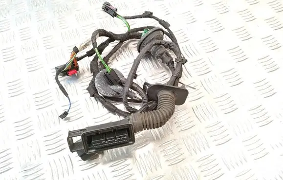 Audi Q3 8U Front door wiring loom 8U0971029
