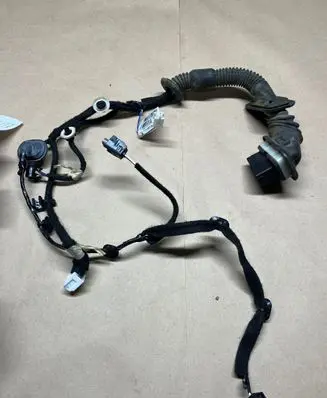 Front door wiring loom