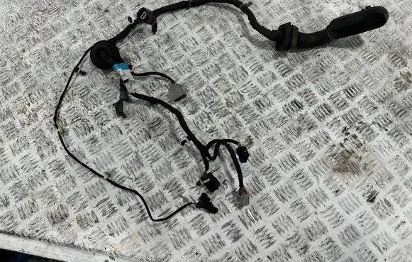 Chevrolet Corvette C8 Front door wiring loom 816509533 8639800000 1120155D5700