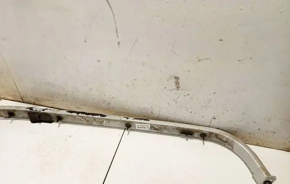 Peugeot 1007 Sliding door trim 