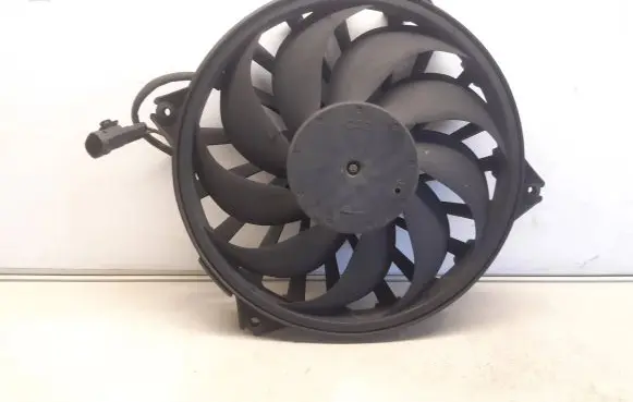 Peugeot Expert Electric radiator cooling fan