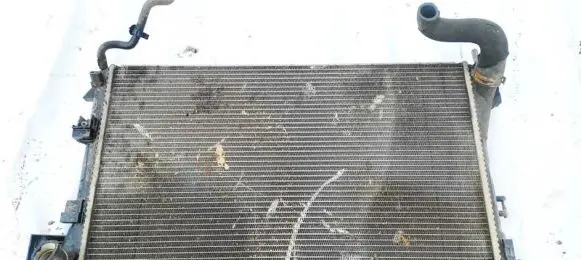 Opel Signum Coolant radiator 24418343