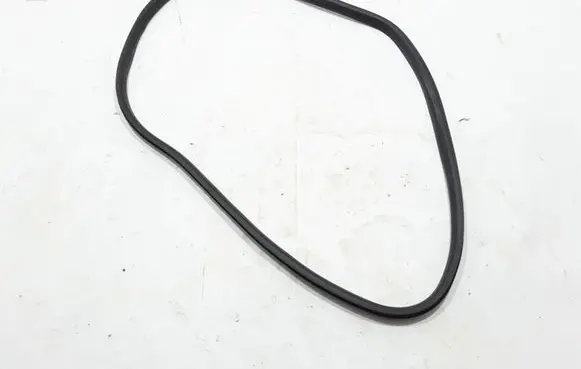 Renault Megane IV Rear door rubber seal (on body) 769230508R