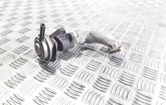 EGR valve