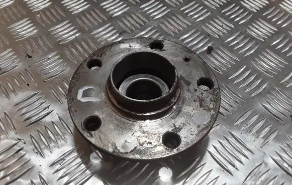 Volkswagen Golf V Rear wheel hub 130196 BAF0103D