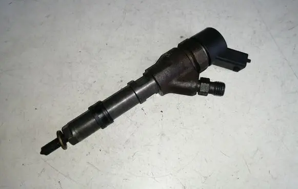 Citroen C5 Fuel injector 0445110008 9635196580