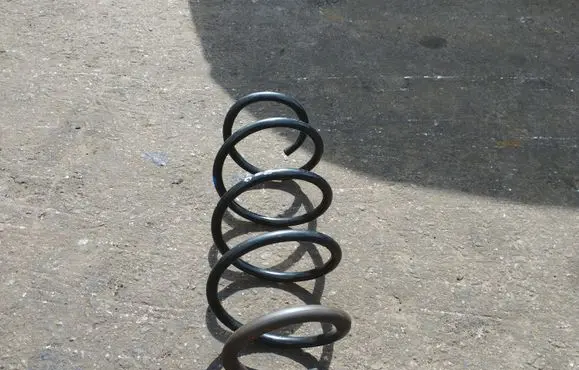 Renault Megane II Rear coil spring