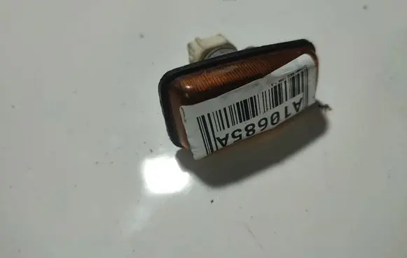 Front fender indicator light