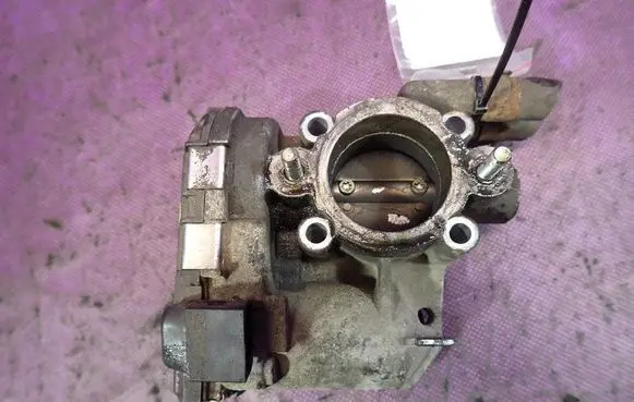 Throttle body valve