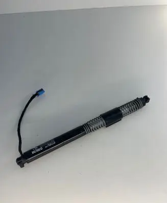 Tailgate/trunk strut/damper