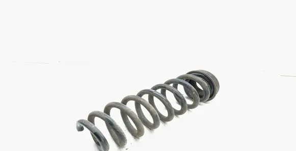 Rear coil spring