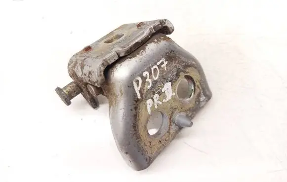 Peugeot 307 Front door upper hinge 