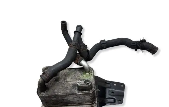 Volkswagen Phaeton Engine oil radiator 3D0409061