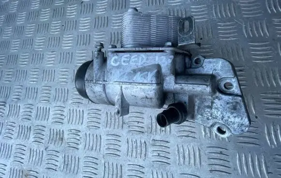 KIA Ceed Oil filter mounting bracket 264102A150 880082U