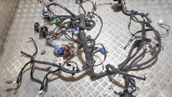 Renault Zoe Panel wiring 240186779R