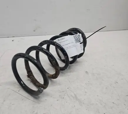 Rear coil spring