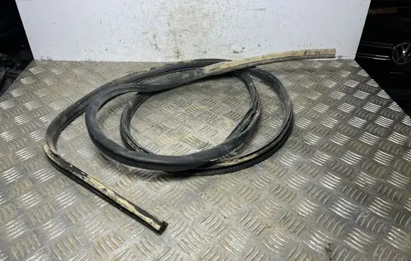 Nissan Qashqai Front door rubber seal