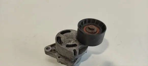 Renault Trafic II (X83) Generator/alternator belt tensioner 0802410121