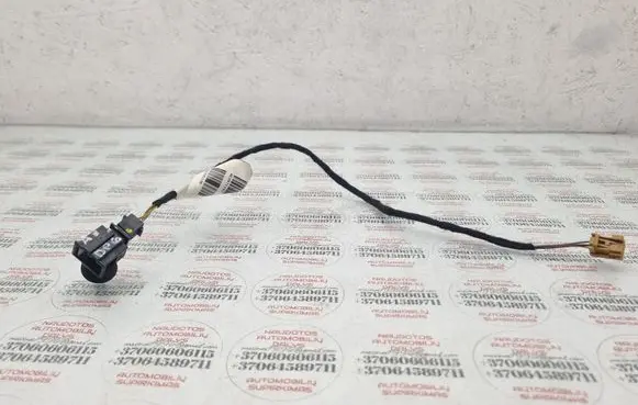 Rear door wiring loom
