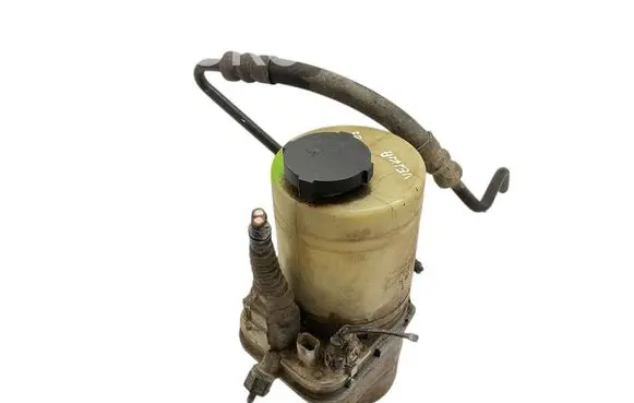Electric power steering pump