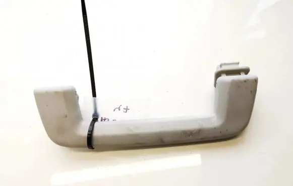 Ford Focus Front interior roof grab handle