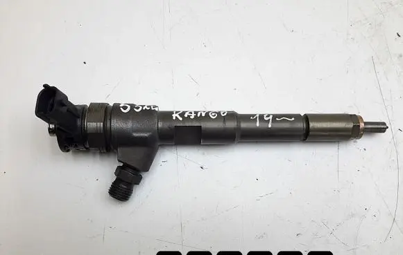 Renault Kangoo II Fuel injector 0445110485 H8201108033