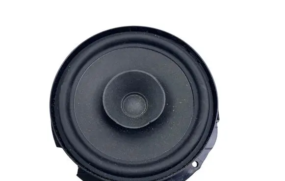 Cupra Tavascan Rear door speaker 11H035710