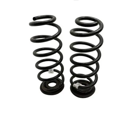 Rear coil spring