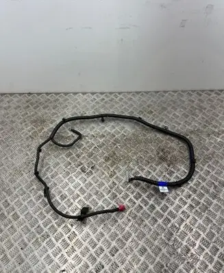 Dacia Spring Positive cable (battery) 296953947R