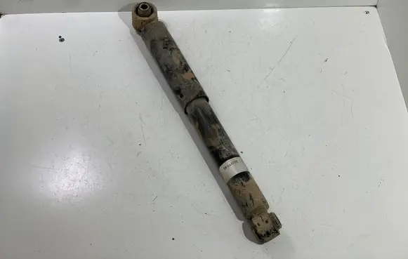 Renault Koleos I Rear shock absorber with coil spring 19213767