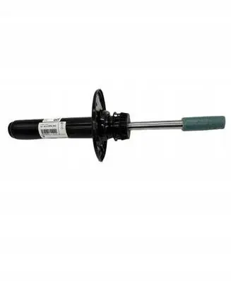 BMW 3 G20 G21 Front shock absorber/damper 31316879310 6879310