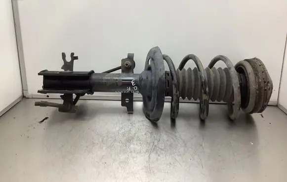 Renault Laguna III Front shock absorber with coil spring