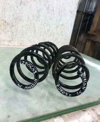 Rear coil spring