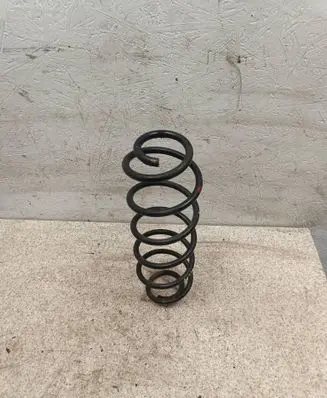 Rear coil spring