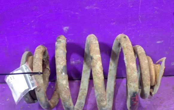 Volkswagen Sharan Rear coil spring