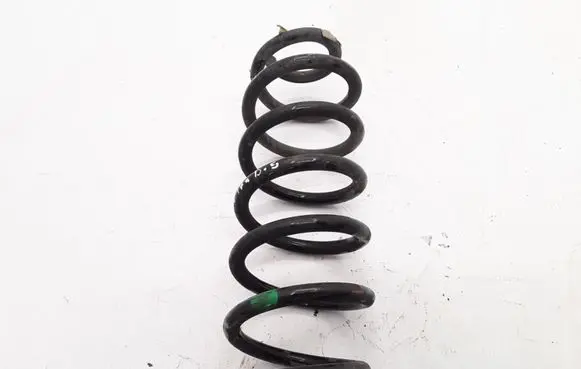 Renault Kadjar Rear coil spring 550204EA3B