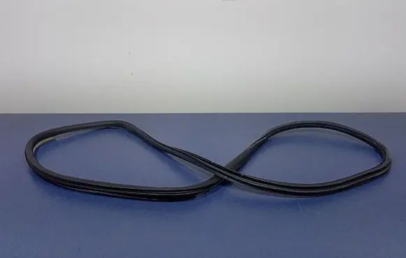 Renault Laguna III Front door rubber seal 
