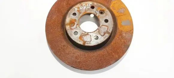 Nissan Qashqai Front brake disc ventiliuojamas