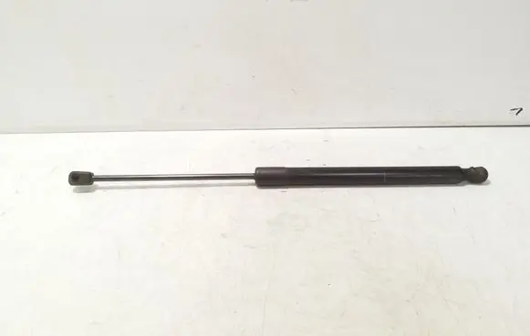 Tailgate/trunk strut/damper