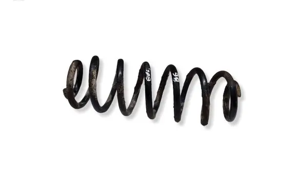 Volkswagen PASSAT B6 Rear coil spring 