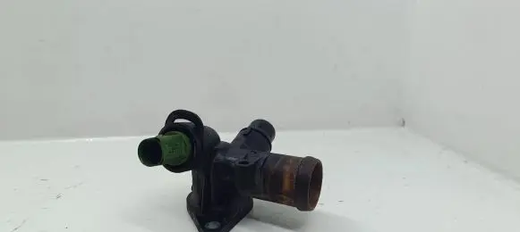 Thermostat/thermostat housing